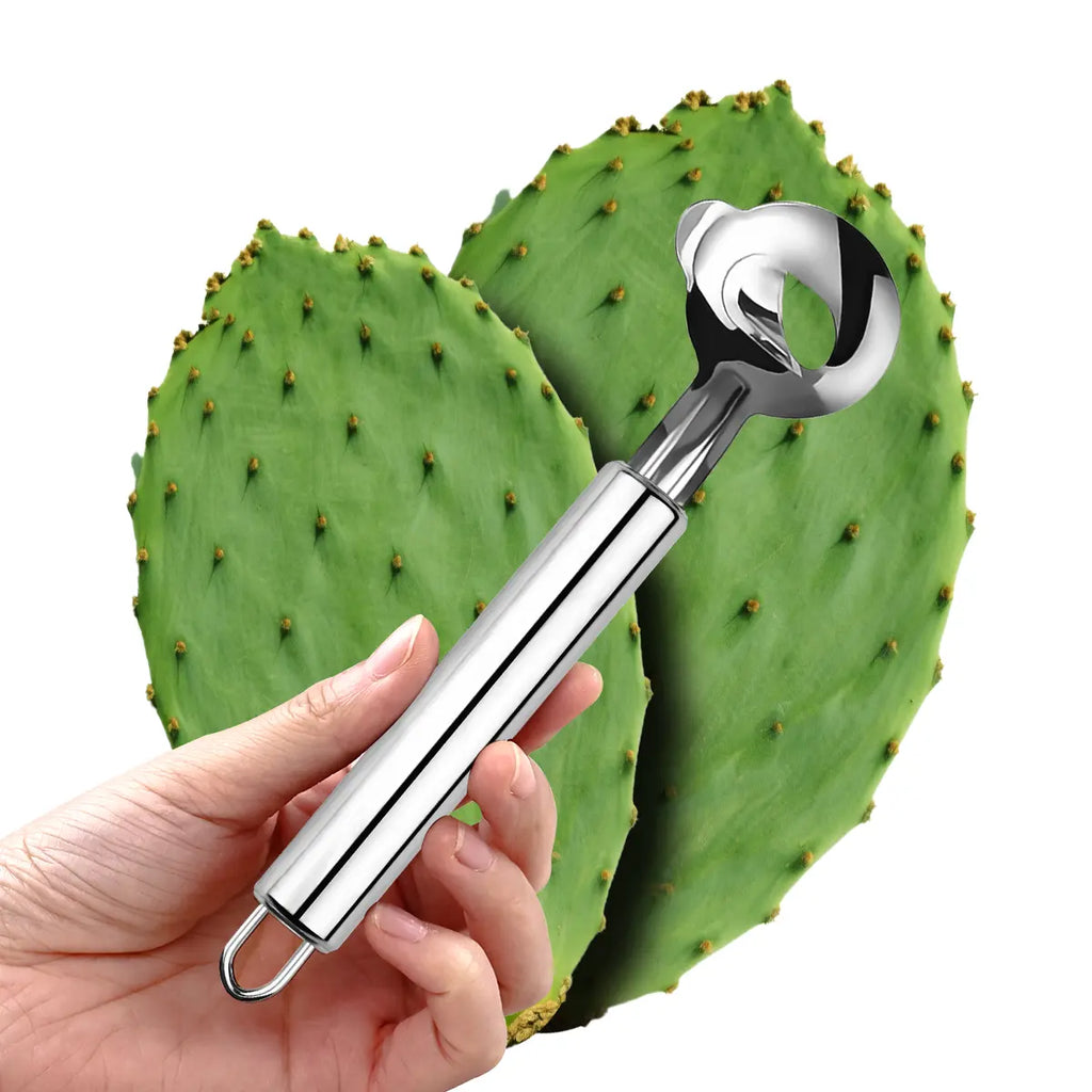 Stainless Steel Kitchen Tool Set | Cactus & Rouge Peeler, Multi-Functional Spoon-Shaped Noodle Cutter, Easy-To-Use for Home and Restaurant Use #Summervibes
