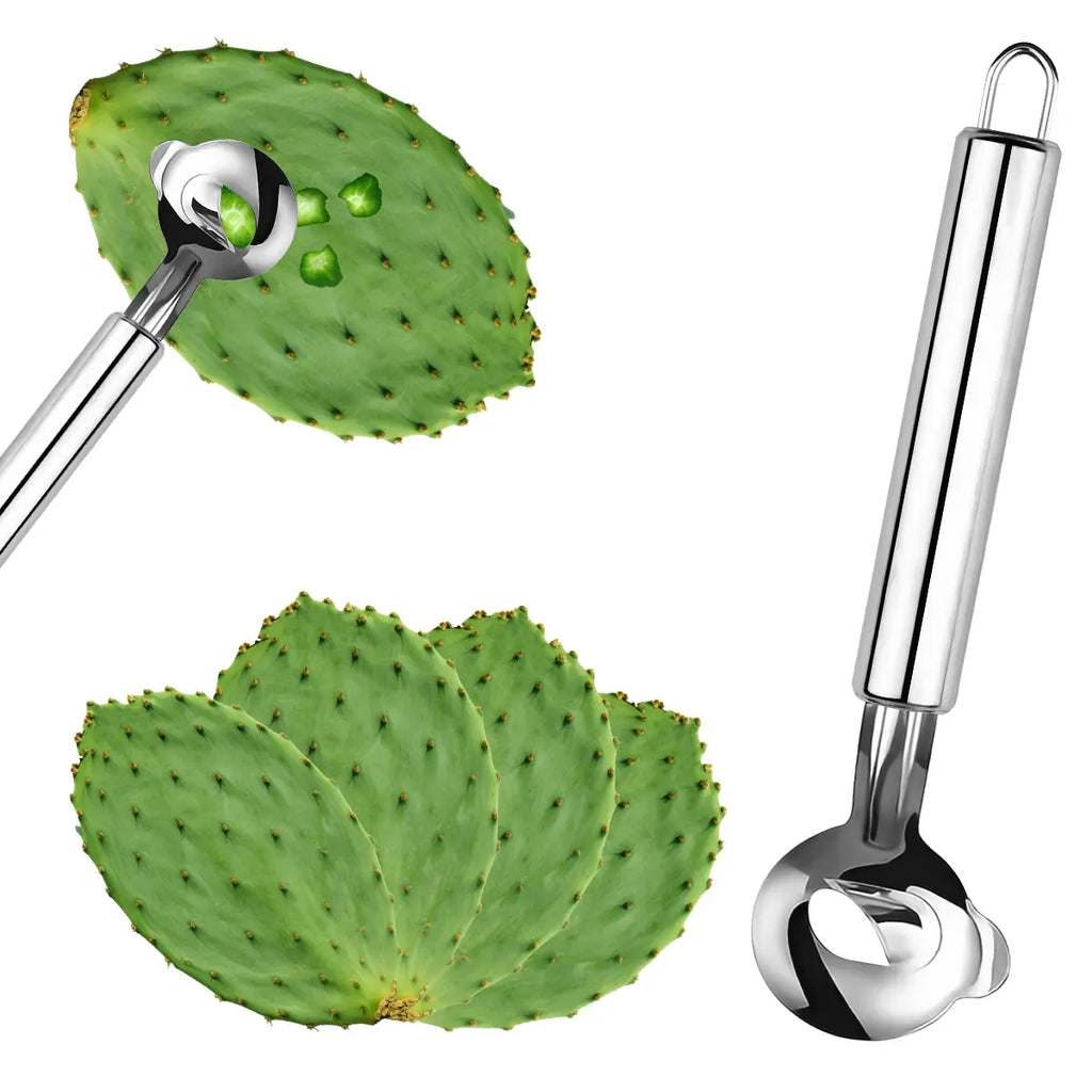 Stainless Steel Kitchen Tool Set | Cactus & Rouge Peeler, Multi-Functional Spoon-Shaped Noodle Cutter, Easy-To-Use for Home and Restaurant Use #Summervibes
